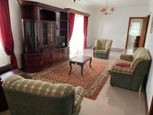 蓬塔德尔加达Green Tropical House的客厅配有沙发和桌子。