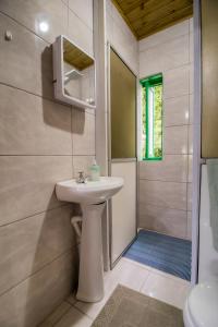 约恩维利Casa do Tesouro的一间带水槽和淋浴的浴室