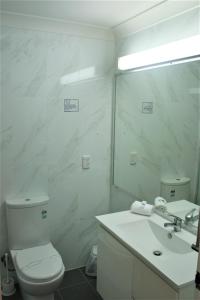 阿米代尔阿米代尔俱乐部汽车旅馆的一间带卫生间、水槽和镜子的浴室
