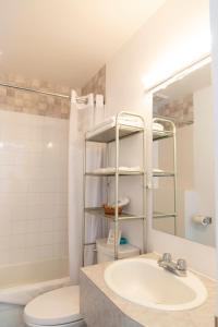 拉拜萨格奈河滨宾馆的一间带水槽、卫生间和淋浴的浴室