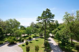 威尼斯JW万豪威尼斯度假酒店及水疗中心的树木公园的空中景观