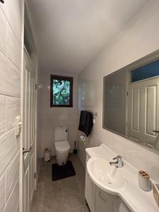 LyonsStudio at the Back of Mount Taylor的白色的浴室设有水槽和卫生间。