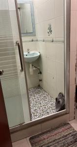 香港New hoover hostel的一间带水槽、卫生间和淋浴的浴室