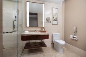 常州常州志逸温德姆花园酒店的一间带水槽、卫生间和镜子的浴室