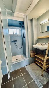 克罗宗Saint Norgard - hameau breton的带淋浴和盥洗盆的小浴室