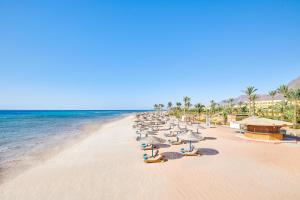 塔巴Mosaique Beach Resort Taba Heights的海滩上放着一把遮阳伞,大海