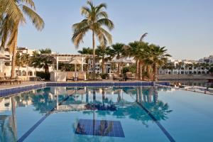 塞拉莱Juweira Boutique Hotel Adult only的一座棕榈树环绕的大型游泳池