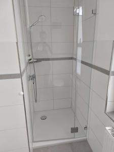 博尔库姆CVJM Freizeithaus MS Waterdelle的浴室里设有玻璃门淋浴