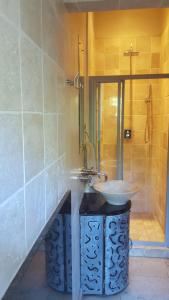 PenhillFrieden-Hof Guest Accommodation的一间带水槽和淋浴的浴室