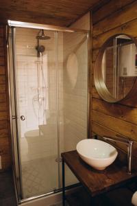 RichkaMandra Hills的带淋浴、盥洗盆和镜子的浴室