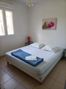 格罗斯皮耶尔雷Domaine des Garrigues的一间卧室配有一张带蓝色毯子的床