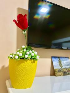 马卡帕Aeroporto House的电视旁边的黄色花瓶里红玫瑰