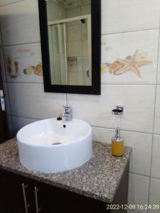 德班Mkhandi Self Catering的浴室设有白色水槽和镜子