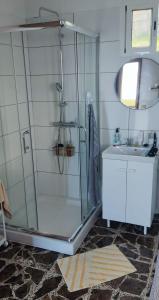 拉奥罗塔瓦House Vochozka的一间带玻璃淋浴和水槽的浴室