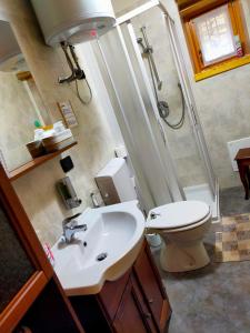 CossognoB&B CA' DEL PITUR CICOGNA的一间带水槽、淋浴和卫生间的浴室
