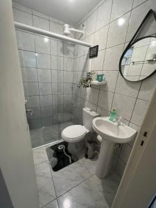 圣若泽Apartamento Studio com banheiro privativo的一间带卫生间、水槽和镜子的浴室
