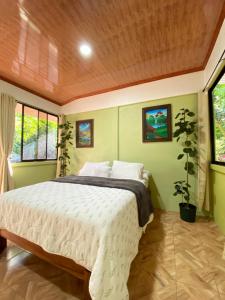 福尔图纳Grettel´s House Apartments, La Fortuna de San Carlos的一间卧室设有一张带绿色墙壁和窗户的床。