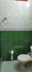 卡利Piazza Granada的绿色浴室设有卫生间和绿色瓷砖墙