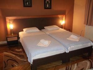 斯科普里斯利亚别墅酒店的客房内的两张床和两条毛巾