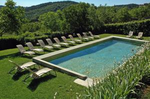 卡斯特利纳-因基安蒂帕拉佐斯奎西亚酒店的一个带躺椅的游泳池和一个游泳池