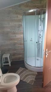 米纳斯Runa, Marcos de los Reyes villa serrana的一间带玻璃淋浴和卫生间的浴室