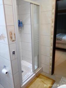 德班Mkhandi Self Catering的浴室里设有玻璃门淋浴