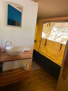 奥霍查尔El Pulpo Safari Lodge的一个带水槽的柜台和窗户的浴室