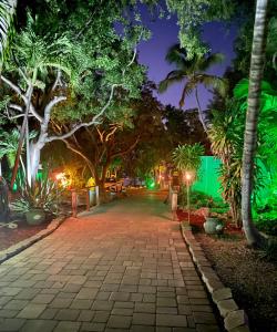 基拉戈航海家基拉戈海滩度假酒店的夜间棕榈树公园的走道