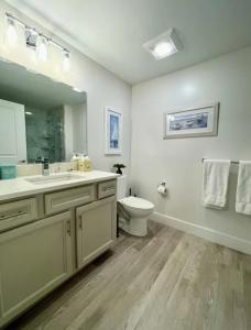 普里茅斯Harbourtown Suite Water View的一间带卫生间、水槽和镜子的浴室