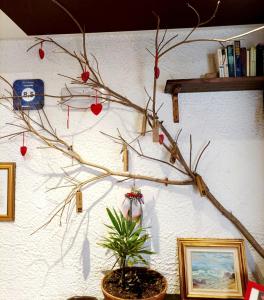 加尔达卡萨女士酒店的墙上装饰物的树枝