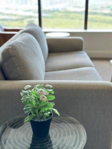 悉尼Best location apartment in Olympic park的坐在沙发前咖啡桌上的植物