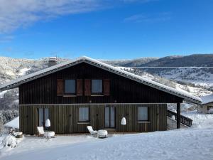 旺特龙La maison de Cécile的雪中带椅子的大型木屋