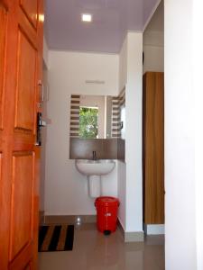 蒙纳Drizzle Valley Cottage的浴室设有水槽和红色垃圾桶
