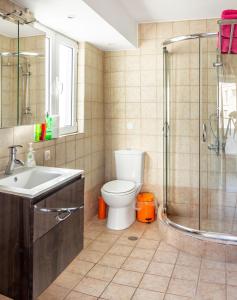 雅典Loft的浴室配有卫生间、淋浴和盥洗盆。