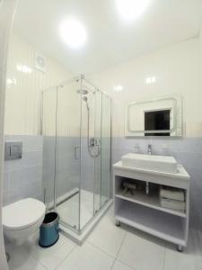 亚布卢尼齐亚Отель MONBLAN的带淋浴、卫生间和盥洗盆的浴室