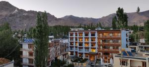 列城The Gawaling ladakh的一座有建筑和山脉背景的城市