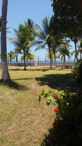 伊塔帕里卡岛维拉克鲁兹apartamento de frente para o mar的棕榈树、长凳和鲜花盛开的公园