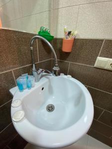 第比利斯APARTMENT in TBILISI Koko的浴室内设有一个白色水槽和水龙头