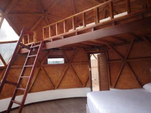ArcabucoTybyn Geo Lodge的带梯子的客房内的一张高架床
