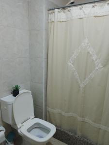 科尔多瓦NUEVOCENTRO 1的一间带卫生间和淋浴帘的浴室