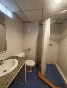 素叻BJ city hotel的浴室配有卫生间、盥洗盆和淋浴。