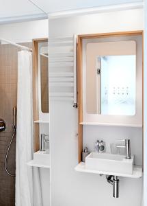布鲁塞尔幸福旅馆的一间带水槽和镜子的浴室