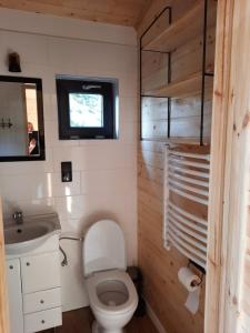 韦茨泽基斯韦斯基Wiatr i Woda Wdzydze的一间带卫生间和水槽的小浴室