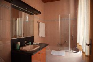 Courroux德乐奥酒店的一间带水槽和淋浴的浴室