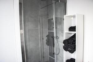 安特卫普NSD Home的带淋浴的浴室(带玻璃淋浴间)