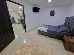 佩雷拉Las Margaritas apartments, Pereira City Centre的一间卧室设有一张床和一间客厅。