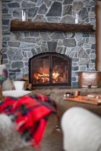 泊鲁Seesaw's Lodge的客厅设有石制壁炉及壁炉