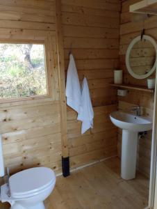 卡夫里利亚Agricampeggio la casa di Nicla的小木屋内的浴室设有卫生间和水槽。
