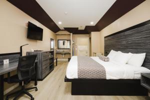 钱诺夫Sapphire Inn & Suites的配有一张床和一张书桌的酒店客房