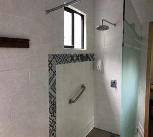明多Las Terrazas de Dana Boutique Lodge & Spa的浴室里设有玻璃门淋浴